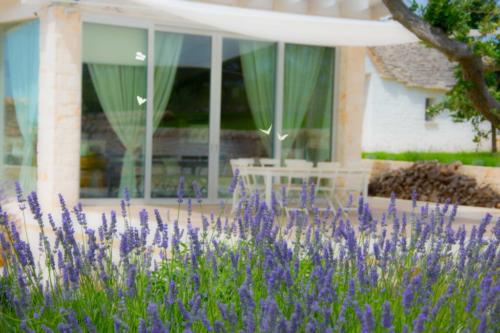 Dimora-MillePietre-Alberobello-esterni-3-1024x683