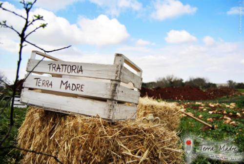 Trattoria-Terra-Madre-con-orto-biologico 35